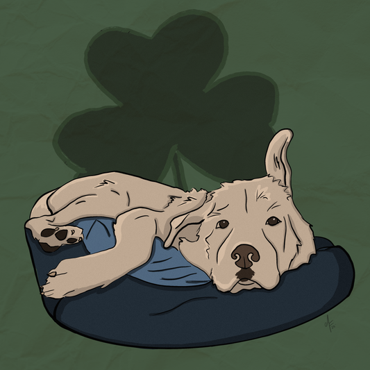 Custom Colored Pet Portrait